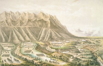 Batalla de Buena Vista, vista del campo de batalla y batalla de 